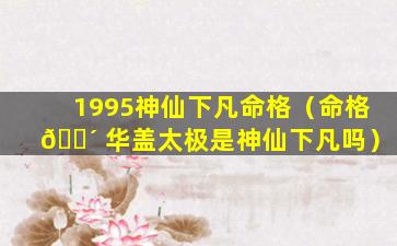 1995神仙下凡命格（命格 🌴 华盖太极是神仙下凡吗）